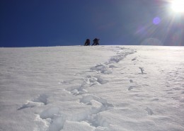 Mischabelgruppe nähe Windjoch xy